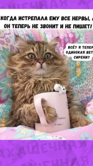 Поздравляю с Днем домиков из снега!