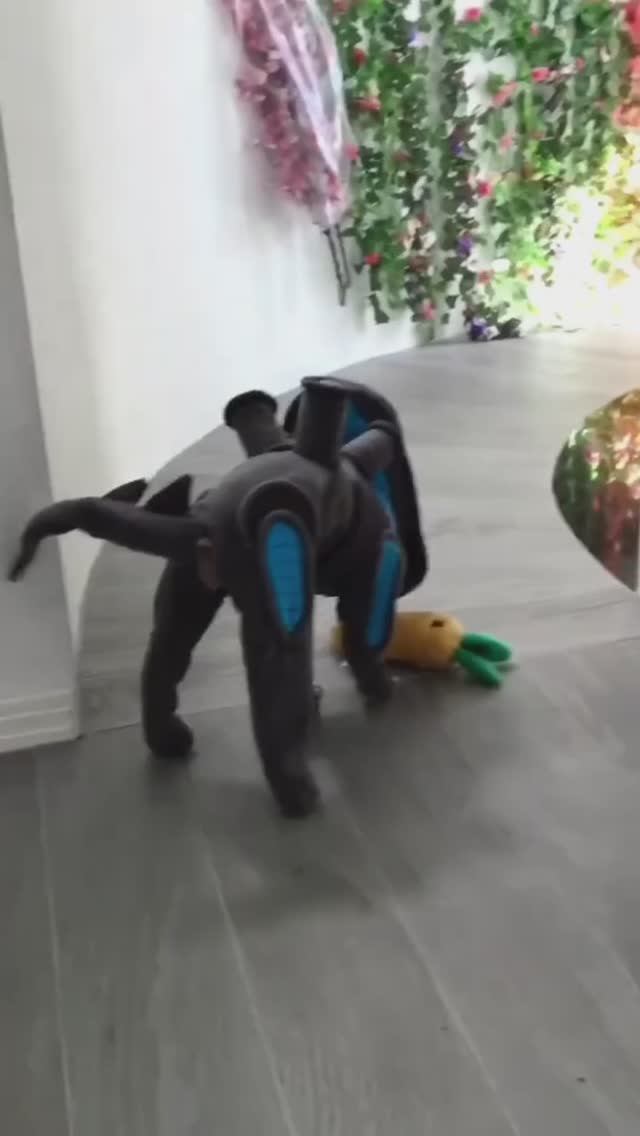 Идеальный костюм для собакена смотреть онлайн