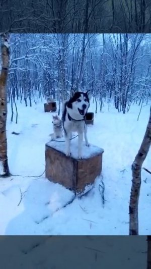 Валя))),смотреть до конца...