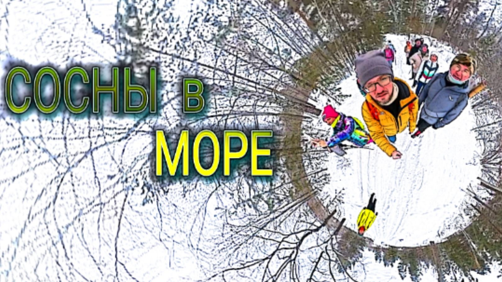 Сосны в Море. Каспийское Море и дюны. Самара сосновый лес.Прогулка #сосны#мыизсамары#каспийскоеморе