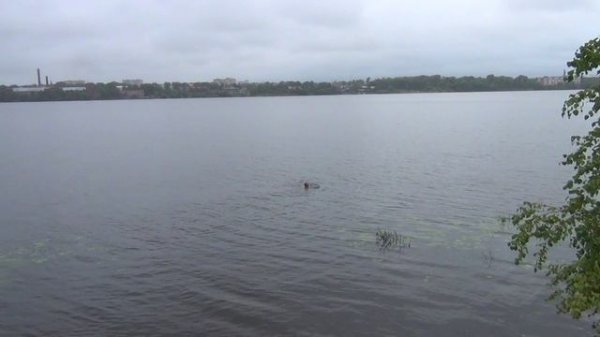 vatravel.ru На Волге в г.Заволжске (Ивановская обл)