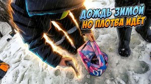 Дождь зимой но плотва идёт