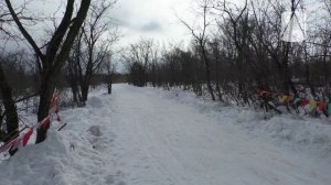На «Камышинской лыжне»…