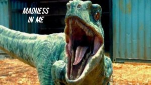 Skillet - Madness In Me