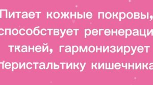 Симфония 5 зромосомы