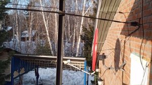 орехи для белок