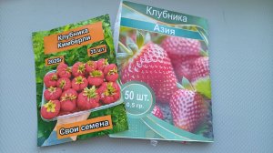 Как взошли семена клубники посаженные на снег