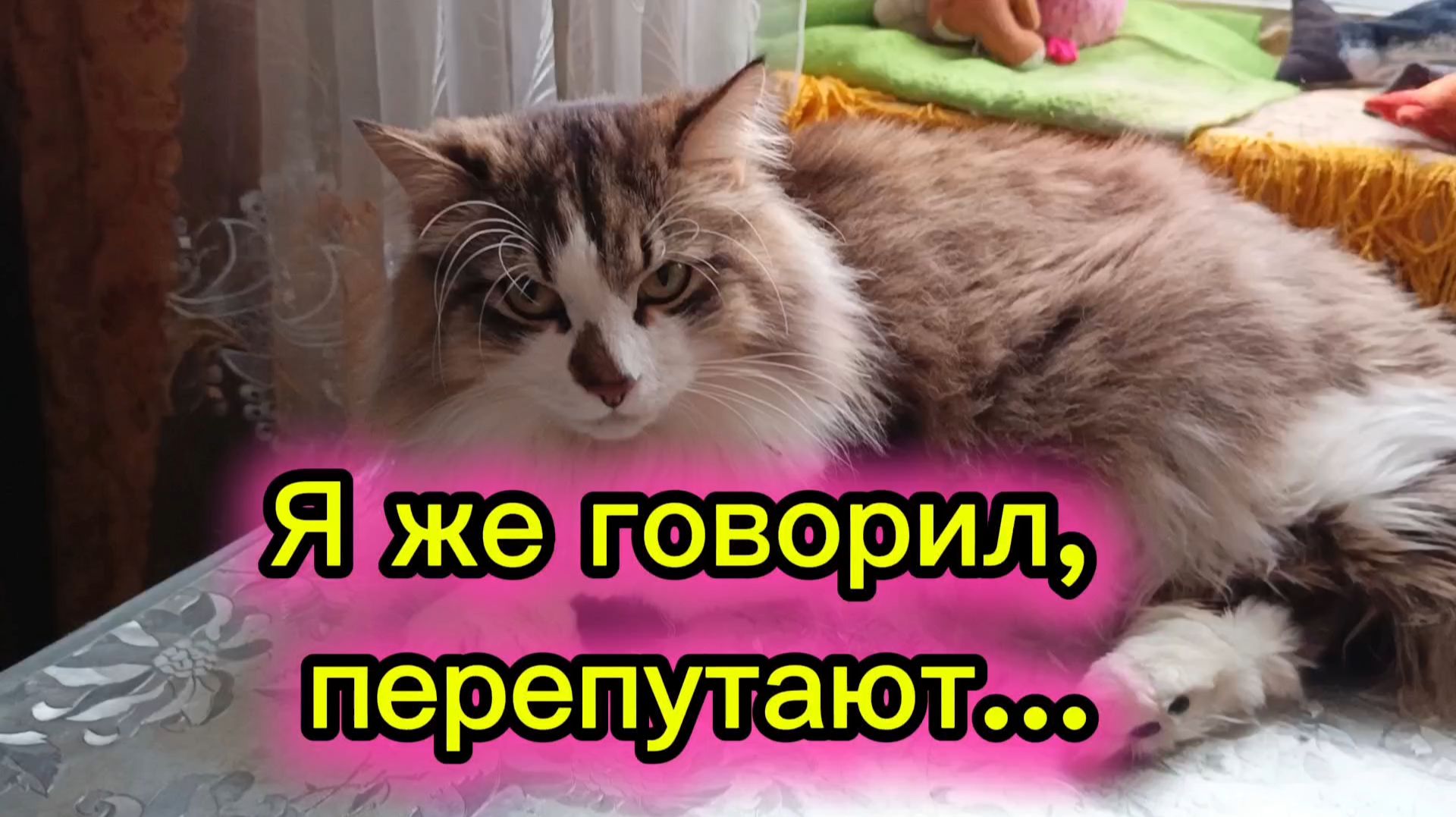 КОШКИ С ОЗВУЧКОЙ.