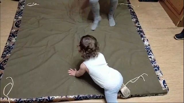 Три кота и зимний пляж