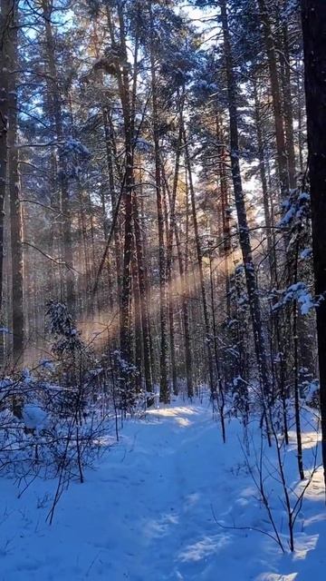 2026-02-19 смотреть онлайн