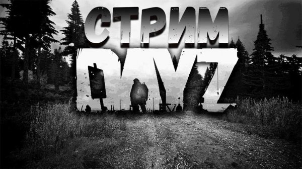 ИГРАЮ В DAYZ