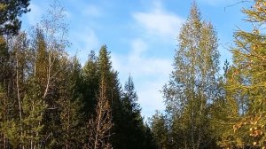 Эдэр,эмэн саас ахтылҕана