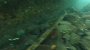 Тайна острова Матуа [недляэфира] 19