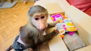 Манечка перестала БОЯТЬСЯ ГОРКИ, а Степка с радостью разбирает вкусняшки из посылки)))