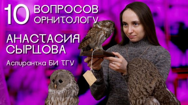 10 вопросов орнитологу