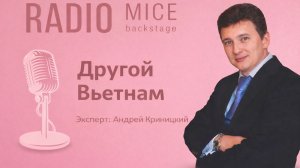 Другой Вьетнам с Андреем Криницким
