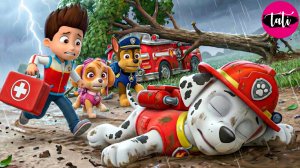 Щенячий патруль и Маршалл. Залипательное видео. Мультфильм для детей и малышей. Анимация 258