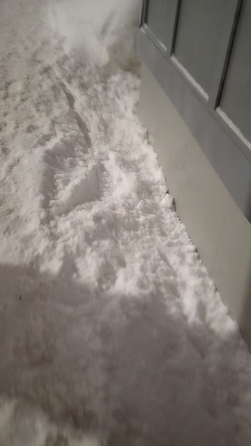 №1461 ул. Красноармейская 1-я. 15 февраля 2026 г., 21:02:34 VID_20260215_210108219