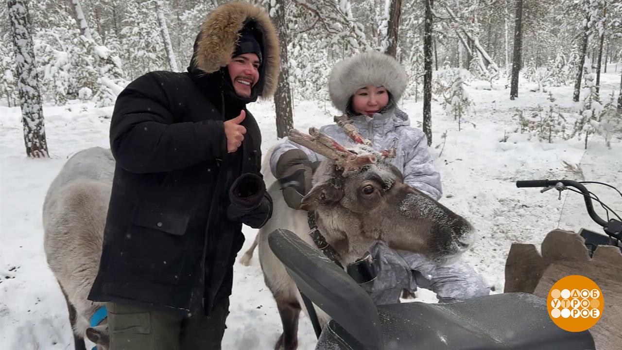 Зимний туризм: некоторые любят похолоднее... Доброе утро. Фрагмент выпуска от 19.02.2026 смотреть онлайн