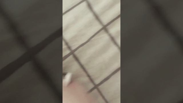 ВЛОГ С ЛИЛИ И ТЁМОЙ смотреть онлайн