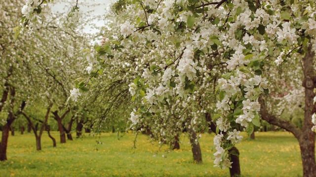 Весна мое вдохновение смотреть онлайн