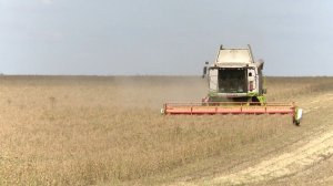 В Сириусе открылся форум "Зерно России"