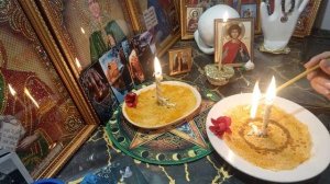 1ч.  Чистка  . ПОРЧА  НА  КРОВИ