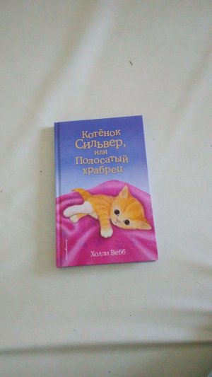 Делаем домик