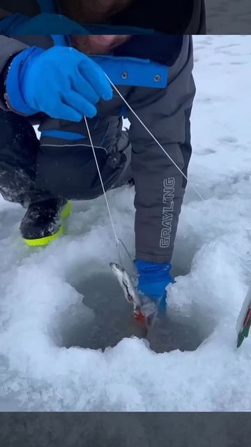 Рыбалка по простецки – ледобур, лунка, две клешни!!. смотреть онлайн