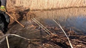 Строительство, расчистка русла реки