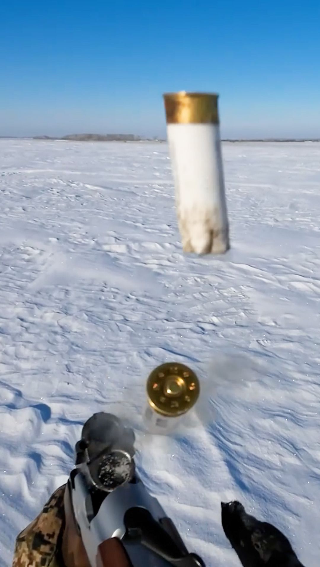 Охота на зайца русака.