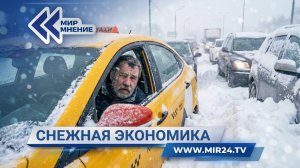 Снежный апокалипсис в Москве. Кто и как может заработать на циклоне «Валли»?