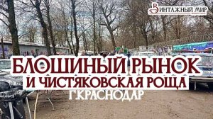 наконец-то ДОЛГОЖДАННЫЕ походы на БЛОШИНЫЕ РЫНКИ г.Краснодара