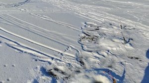 Финский залив. Фарватер. 
Ловим корюшку.