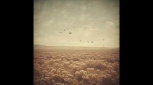 У войны не женское лицо