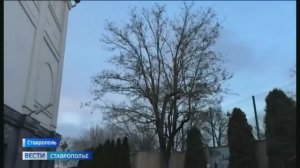 Штормовой ветер бушует на Ставрополье