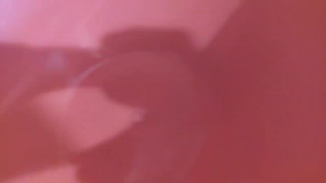 Живу на цельном растительном питании. 14.02.2026