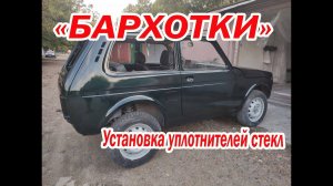 Бархотки на Ниву