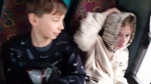 поездка в дельфинарий