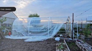 Плёнка «Светлица» или поликарбонат? Что лучше для теплицы?