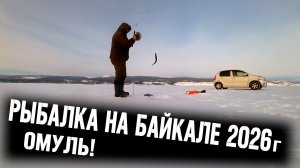 Рыбалка 2026 ! Омуль с глубины Байкала!
