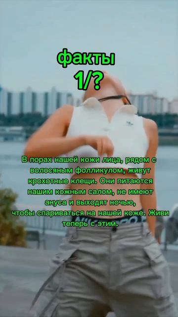 Держите вам фактов ﹤3 смотреть онлайн