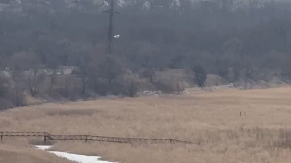 Зенитка vs высоко летящие цели. Запарожская область.