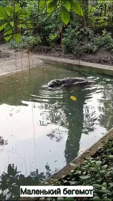 Это место меняет взгляд на Сайгон путешествия discovery vietnam