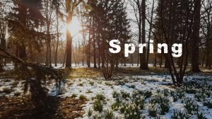 Музыка для Сна | Нежные Звуки Пробуждающейся Весны