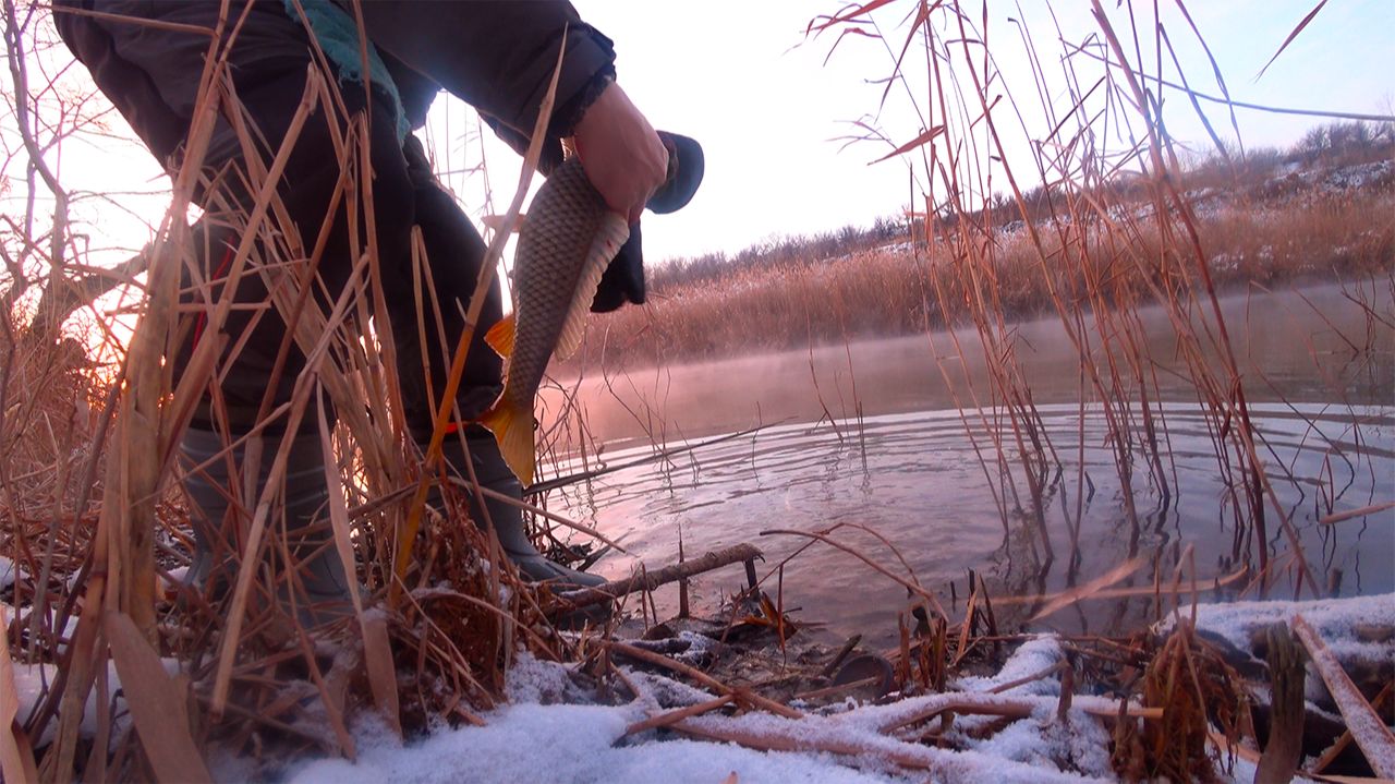 САЗАНЫ И КАРАСИ В ФЕВРАЛЕ !!! смотреть онлайн