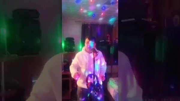 Желтые тюльпаны