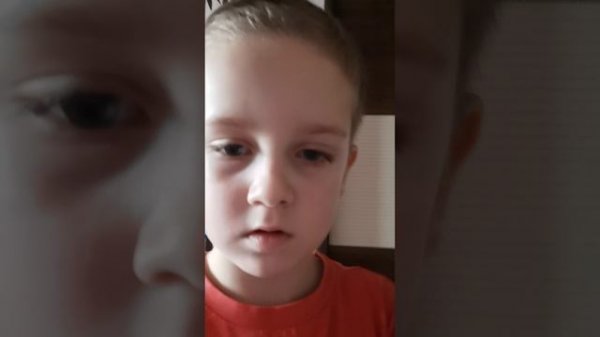 VID_20260219_141232.mp4