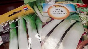 ЛУК ПОРЕЙ. МОЙ ВЫБОР.