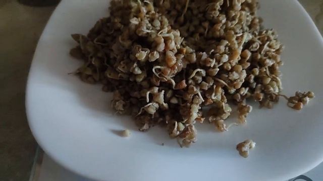 Живу на цельном растительном питании. 05.02.2026